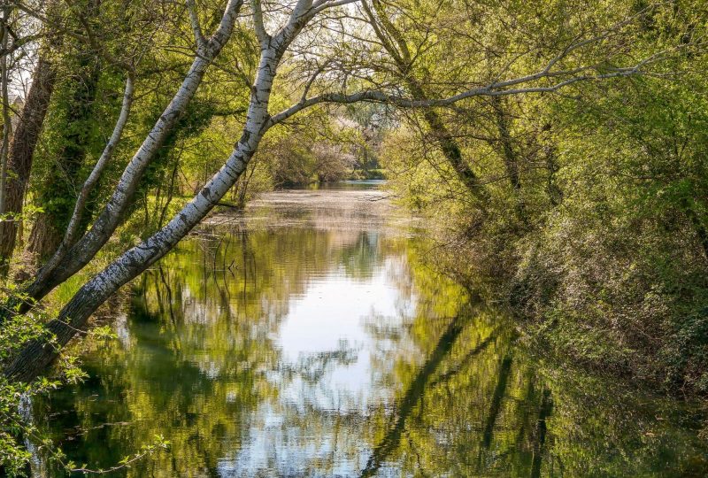 Des quais d’Ancône aux îles du Rhône à Ancône - 2