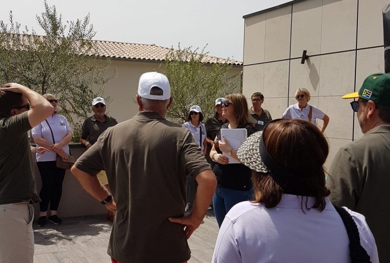 La Maison des Huiles d’Olive et Olives de France à Nyons - 6