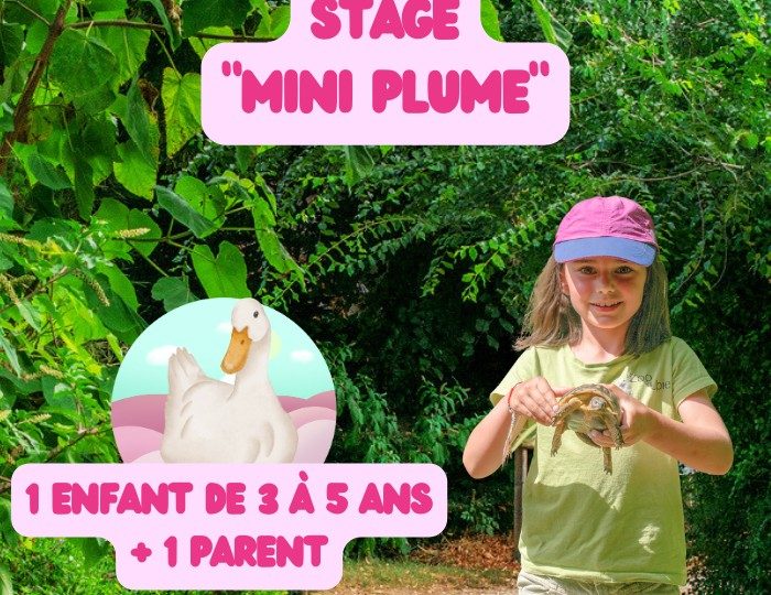 Stage animalier enfant „Mini plume“ à Upie - 0