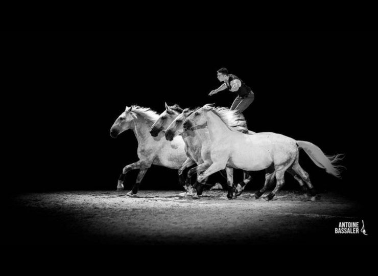 Stage équestre: La connexion homme-cheval  par Matthieu Bianchi à Puy-Saint-Martin - 0