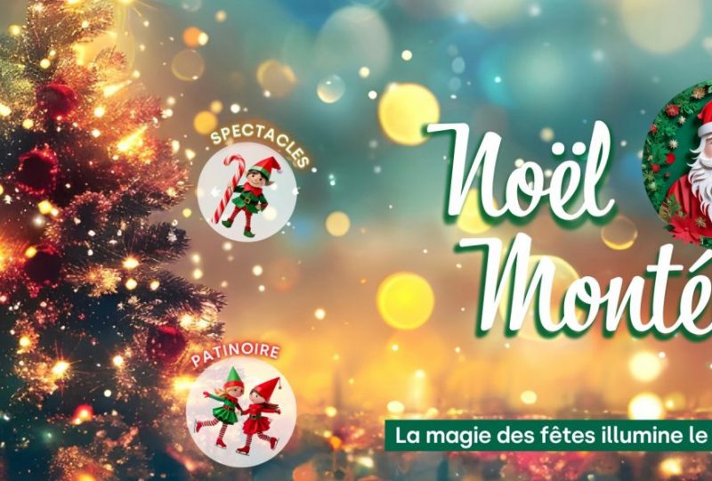 Lancement des festivités de Noël à Montélimar à Montélimar - 3