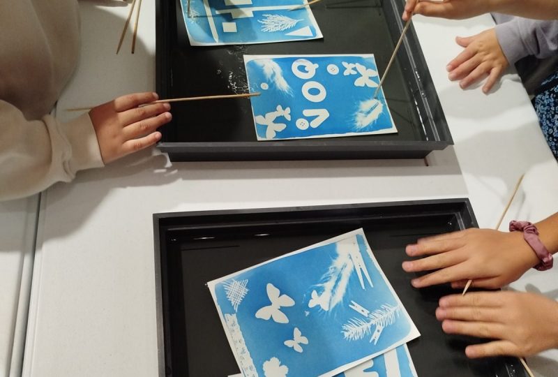 Ateliers cyanotypes et visites guidées au Musée d’Art Contemporain à Montélimar - 0