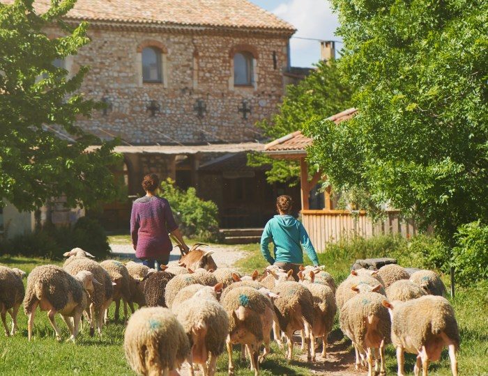 Séjours été vacances à la ferme à La Roche-sur-Grane - 0