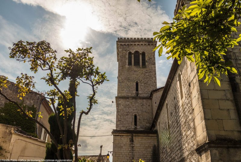 Le château et ses 4 tours à Puygiron - 1