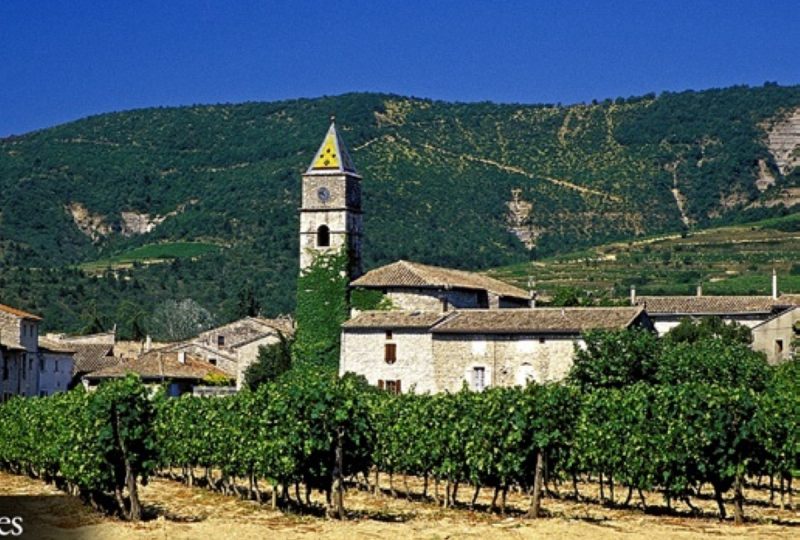 Visite du Caveau des vignerons de Valvignères à Valvignères - 0