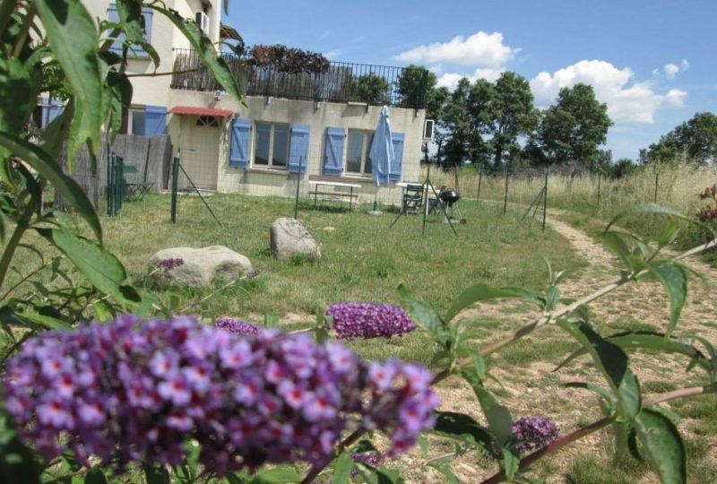 Maison Tifaloc – Gîte du Levant à Montélimar - 7