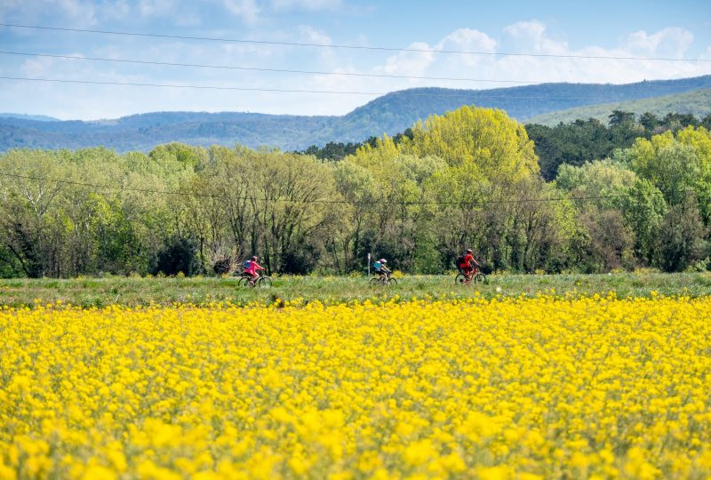 La plaine des Sauzets à Sauzet - 0